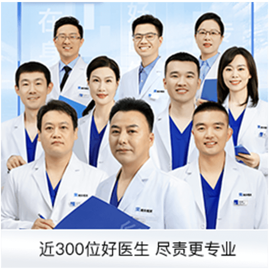雍禾荣誉资质3