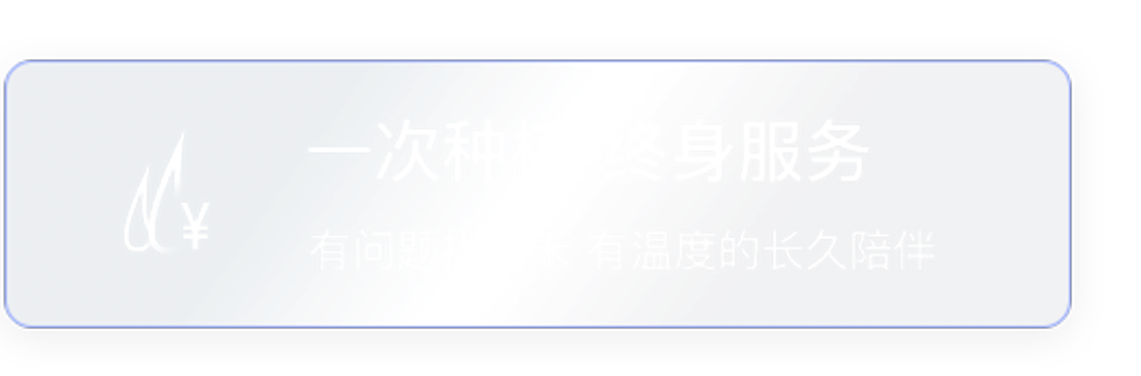品牌切换按钮3